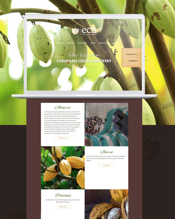 design site web chocolat européen