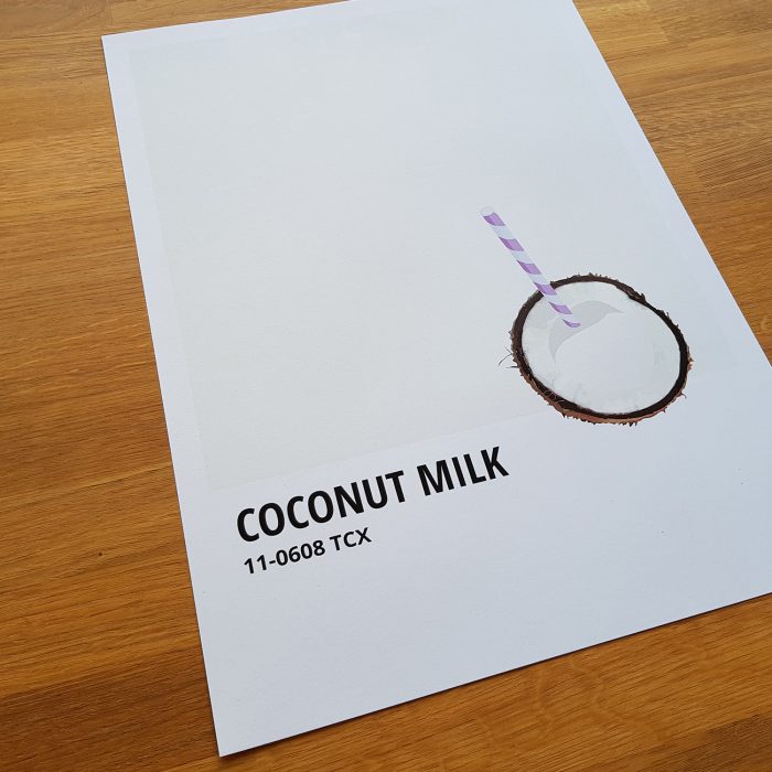 Un petit goût de Coconut Milk – Image 3