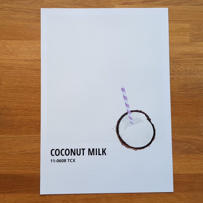 Un petit goût de Coconut Milk – Image 4