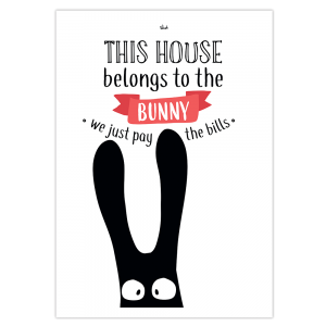 affiche lapin animal de compagnie