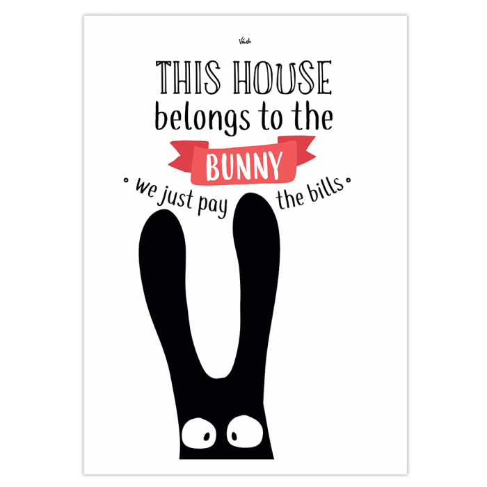 affiche lapin animal de compagnie