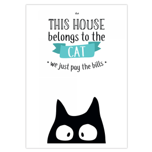 affiche chat à la maison
