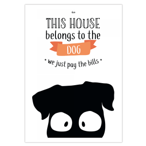 affiche chien à la maison