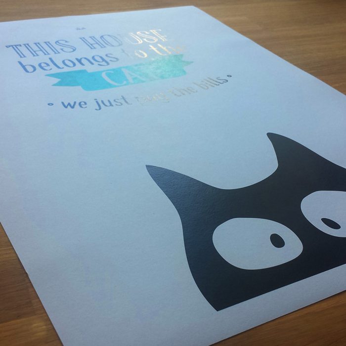 This house belongs to the cat – Image 5